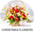 Christmas Flowers