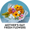 Mother's Day Fresh Flowers