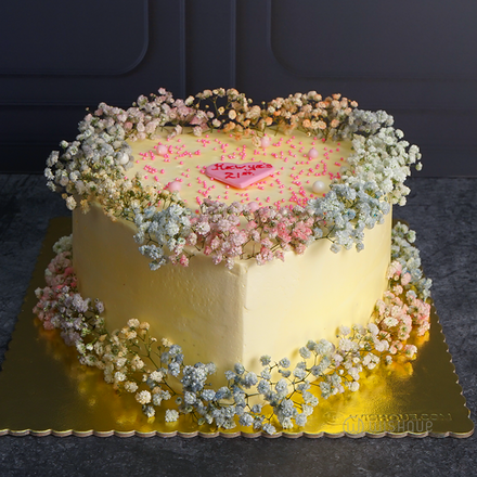 Baby's Breath Soft Bloom Delight Cake