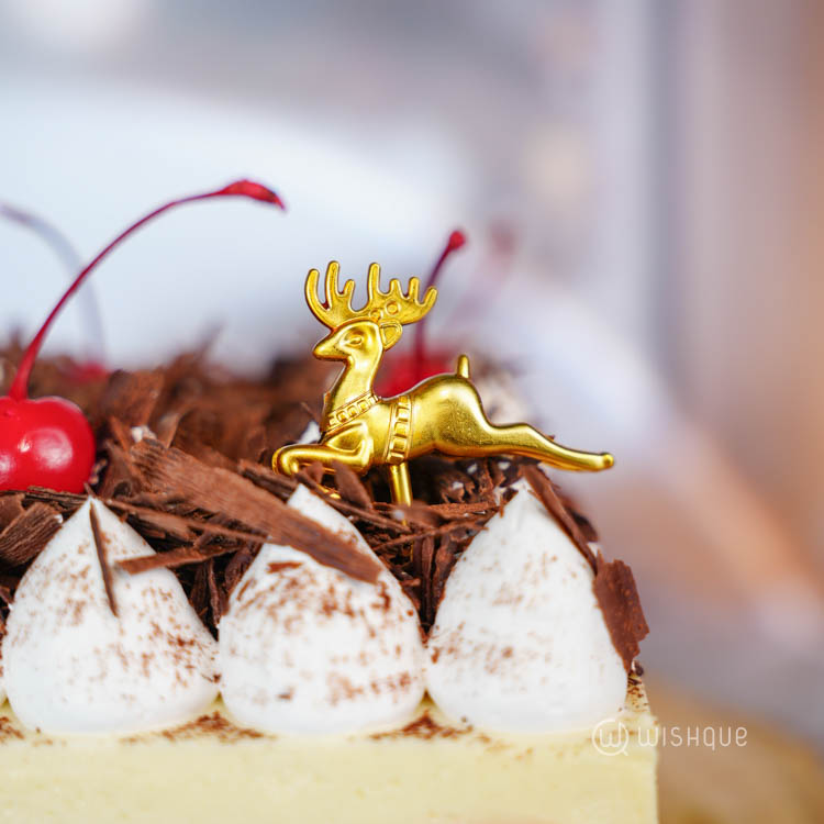 Blackforest Raspberry Mousse Cake