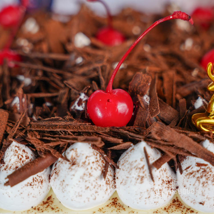 Blackforest Raspberry Mousse Cake