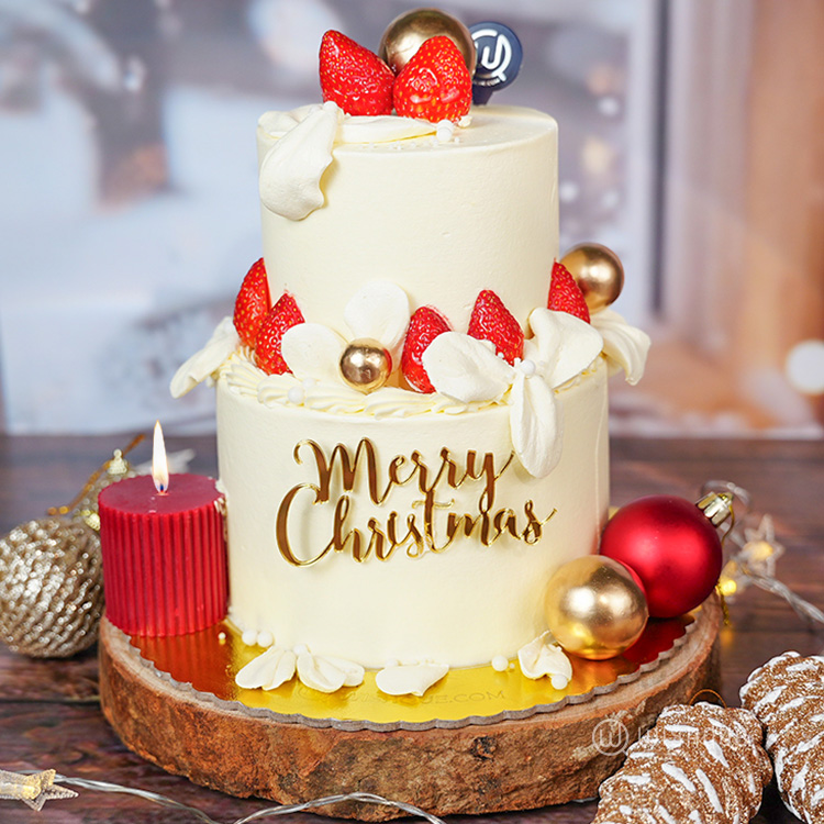 Cocoa Berry Snow Coated Xmas Tower Cake