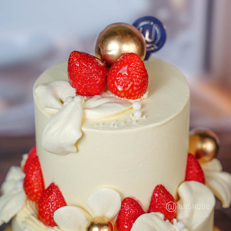 Cocoa Berry Snow Coated Xmas Tower Cake