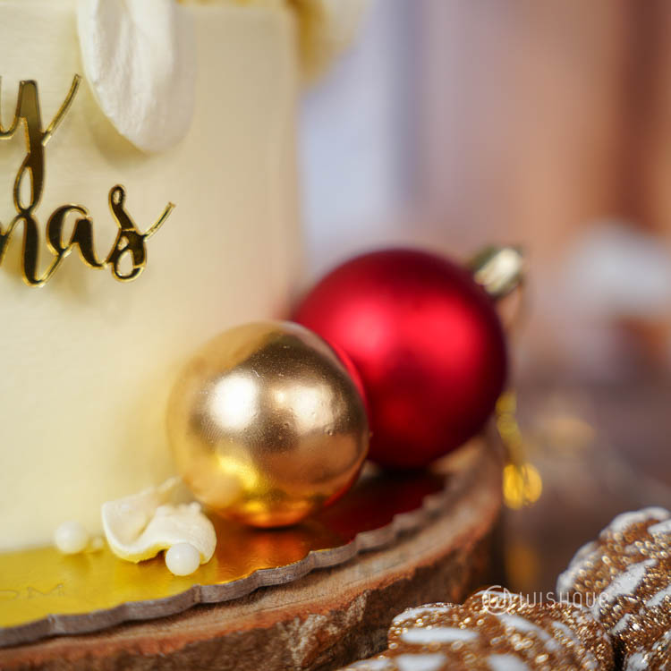 Cocoa Berry Snow Coated Xmas Tower Cake
