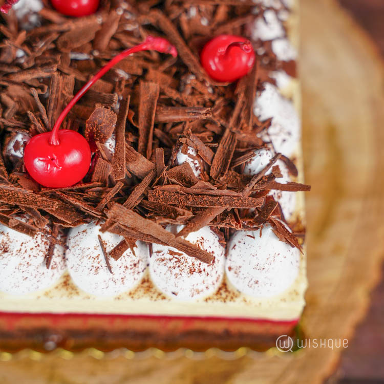 Blackforest Raspberry Mousse Cake