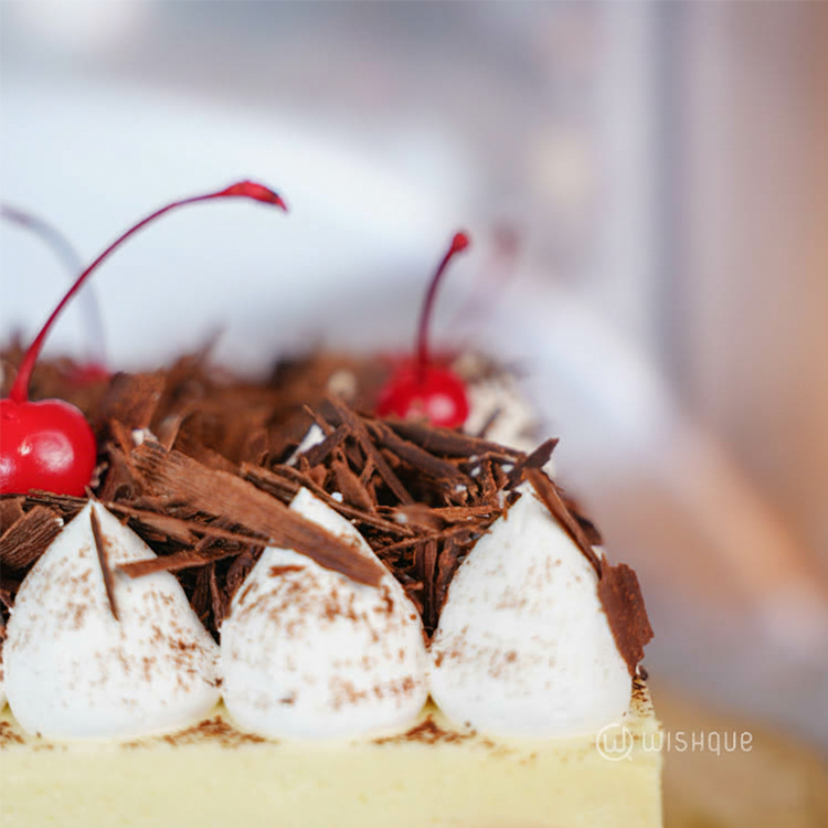 Blackforest Raspberry Mousse Cake