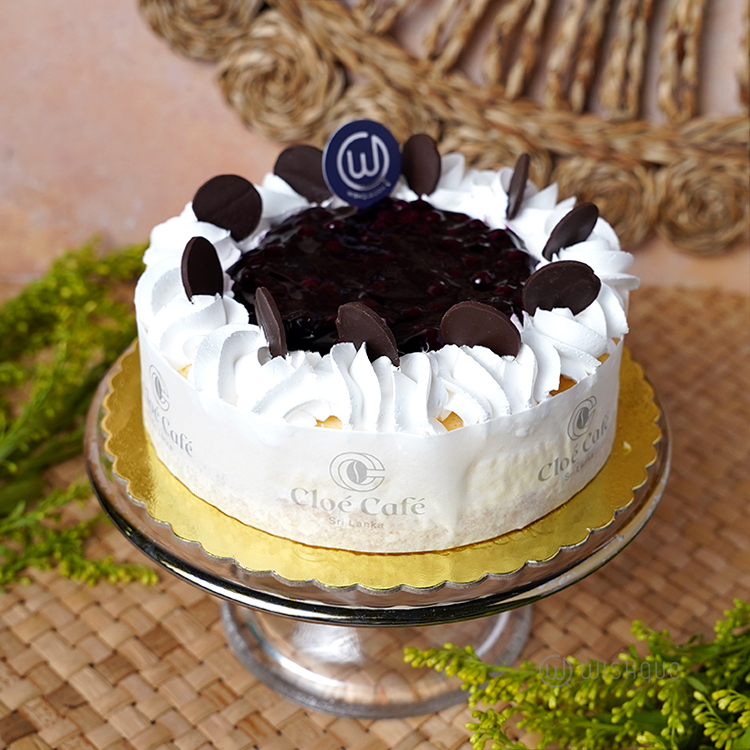 Blueberry Baked Curd Cake