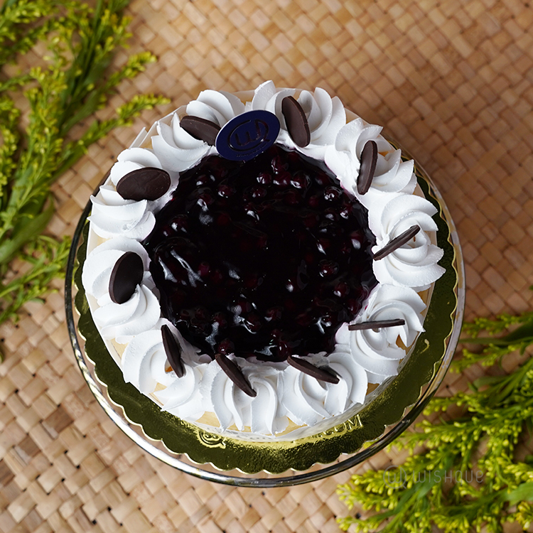 Blueberry Baked Curd Cake