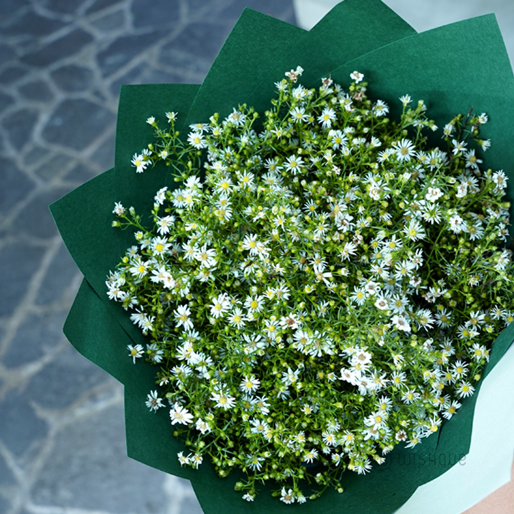 Little White Micheal Posy