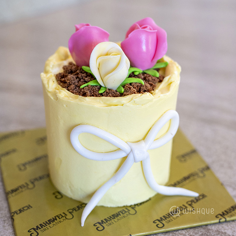 Mango Marble Magic Mini Cake