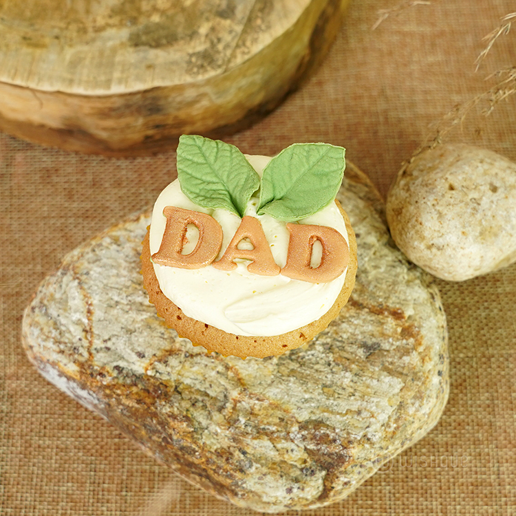 Happy Father's Day Cupcake Box of 06