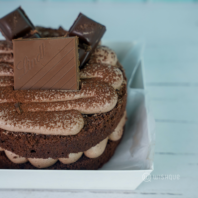 Chocolate Heaven Bento Cake