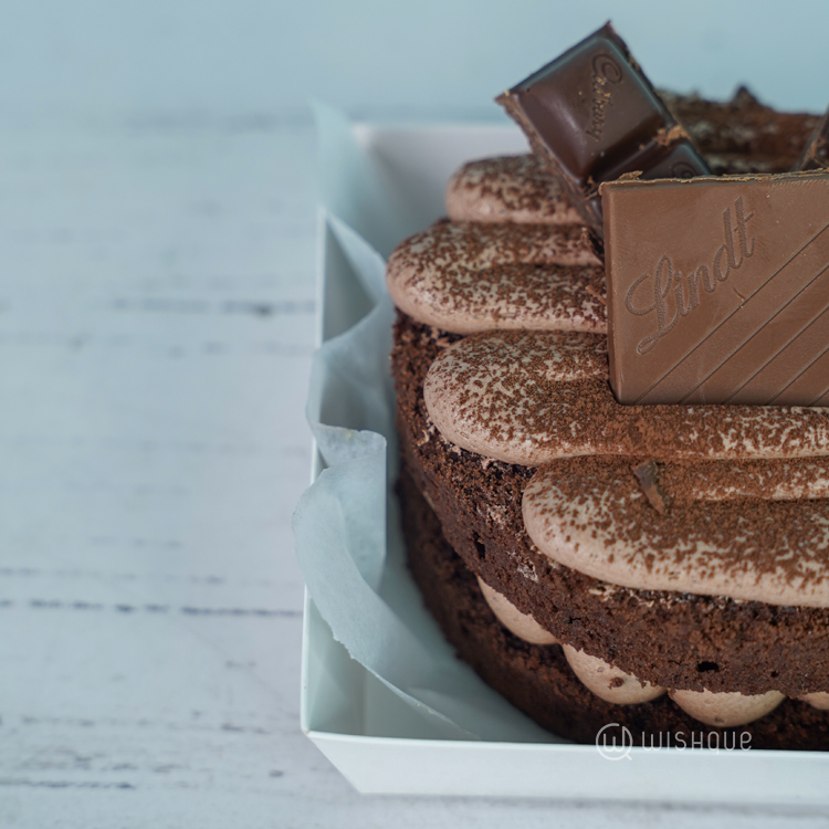 Chocolate Heaven Bento Cake
