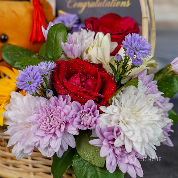 Graduation Gift Basket