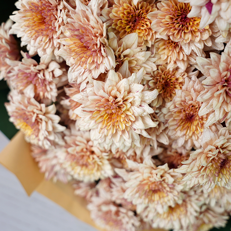 Mocha Blossom Chrysanthemum Bouquet
