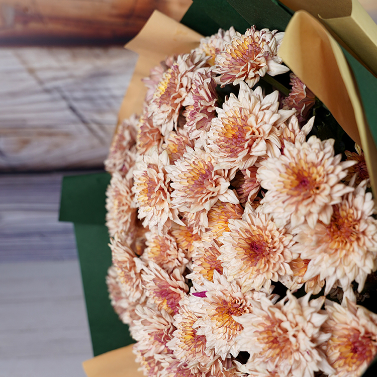Mocha Blossom Chrysanthemum Bouquet