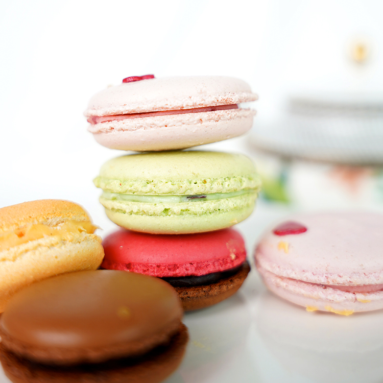 Fruity Fresh French Macaron Collection Box of 6
