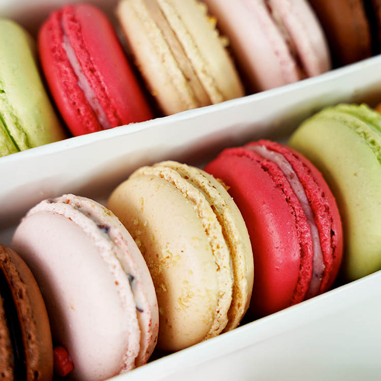 Summer Bloom French Macaron Collection Box of 12