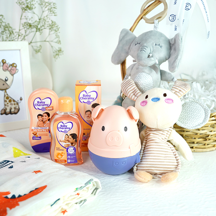 Welcome Baby Bundle
