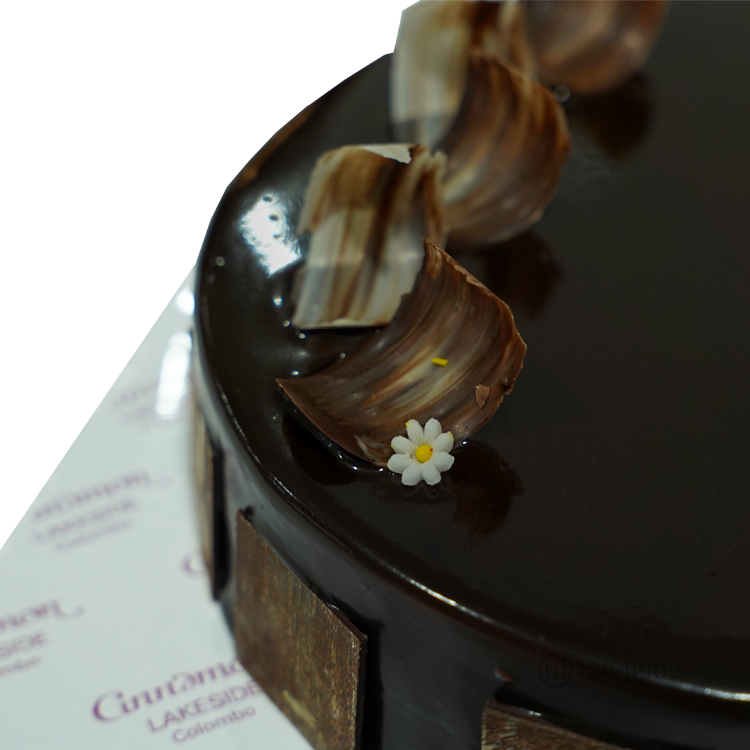 Chocolate Chip Cake